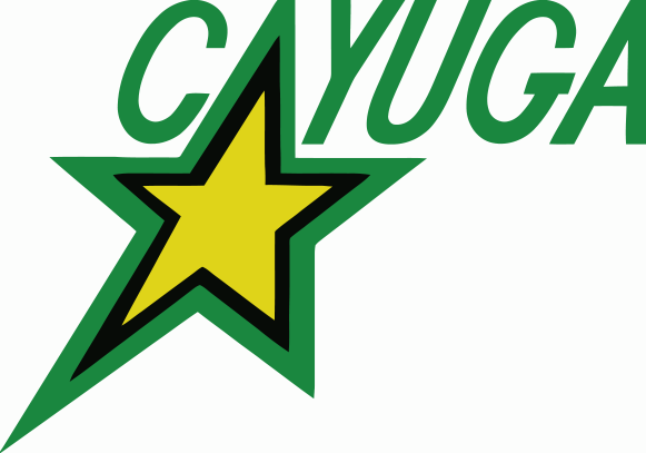 Cayuga_Stars_-_no_minor_hockey_vectorized.png